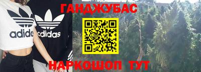 индика Ярославль